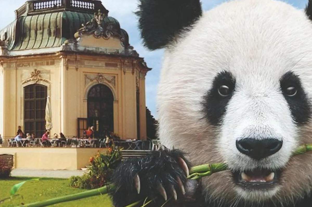 Image 4 of Admission to Schönbrunn Zoo