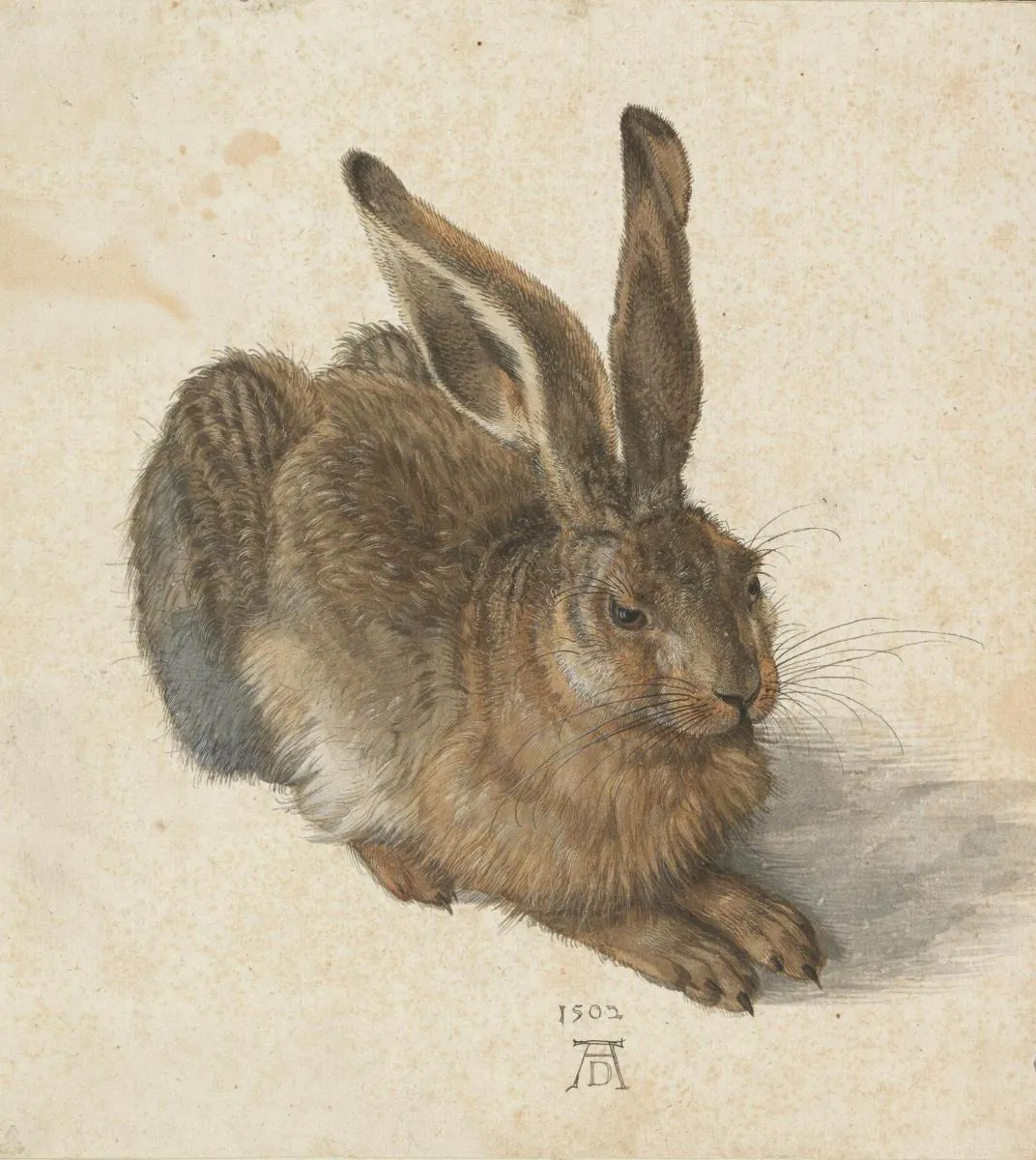 Image 3 of Admission to the Albertina Museums