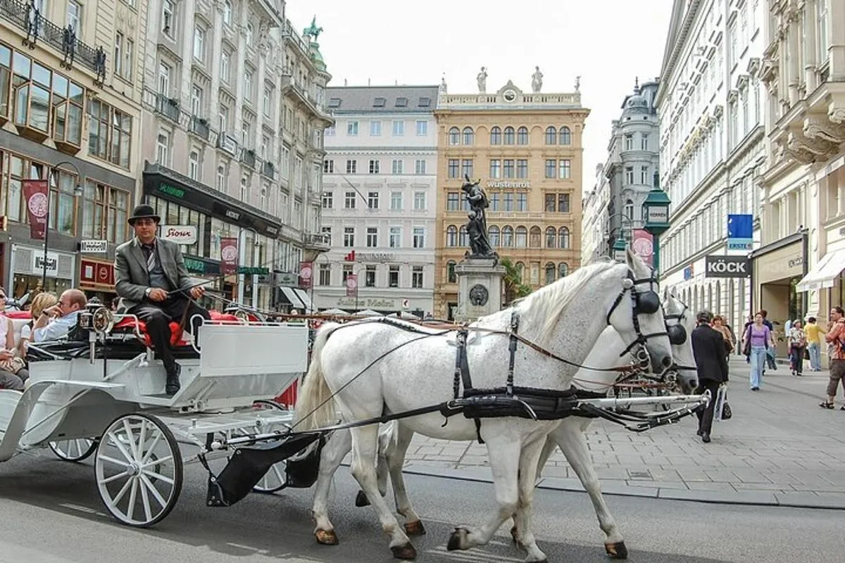 Image 1 of An Architectural insight of Vienna on a Private Tour with a local