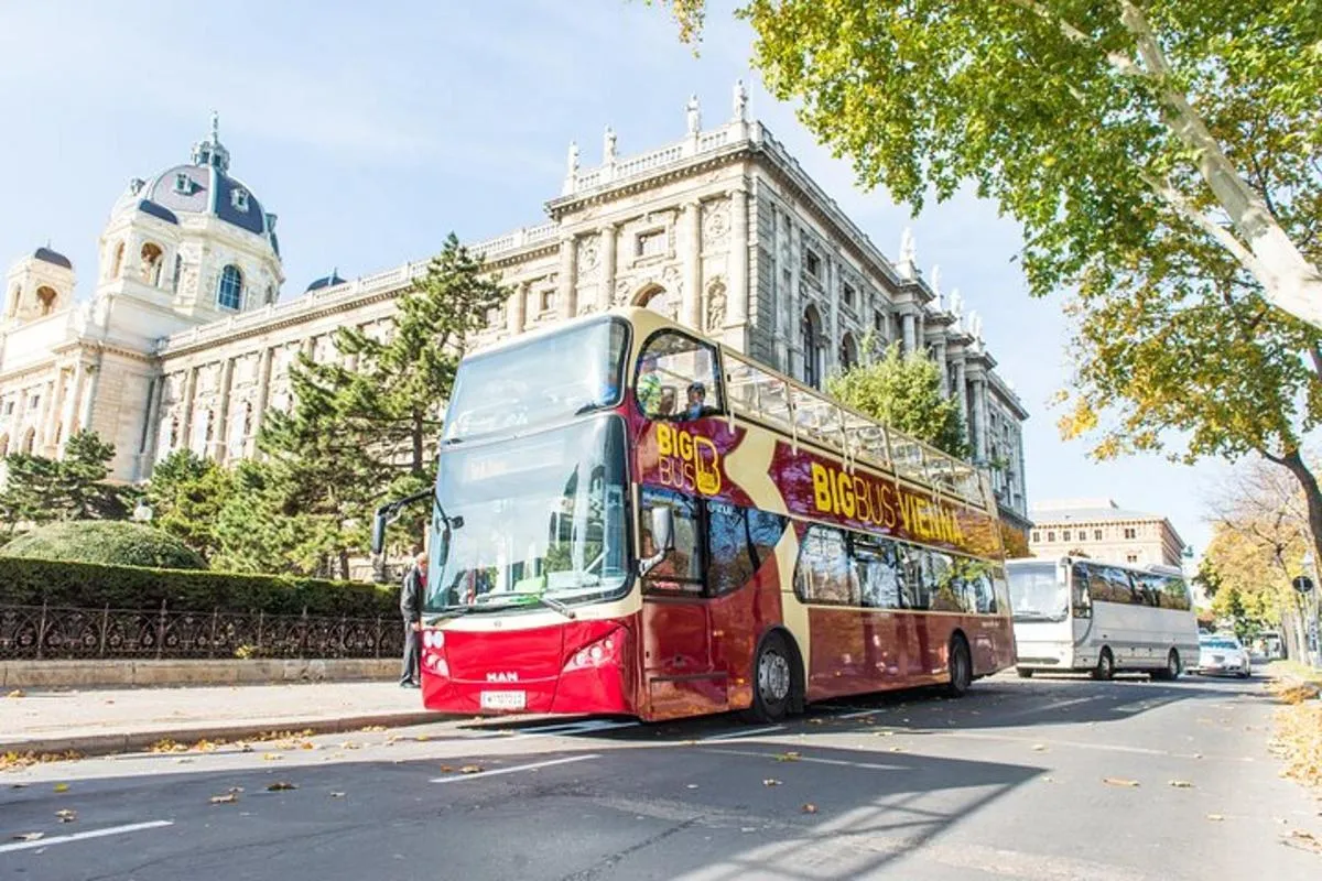 Image 0 of Best of Vienna Pass: Schönbrunn, Belvedere, Big Bus & Cruise