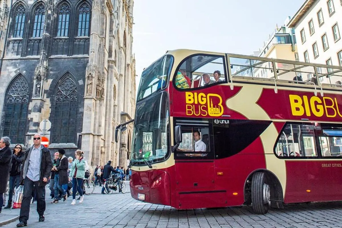 Image 5 of Best of Vienna Pass: Schönbrunn, Belvedere, Big Bus & Cruise
