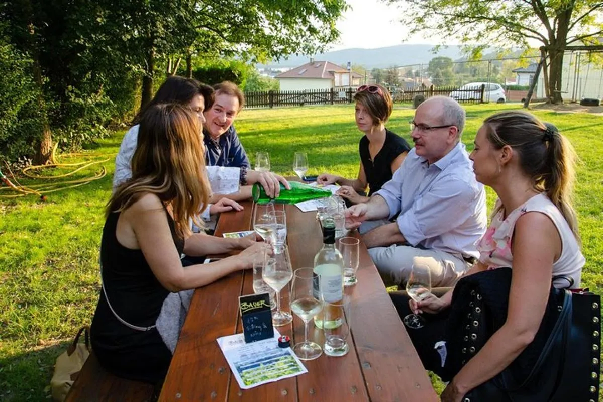 Image 0 of Countryside Half Day Wine Tour near Vienna