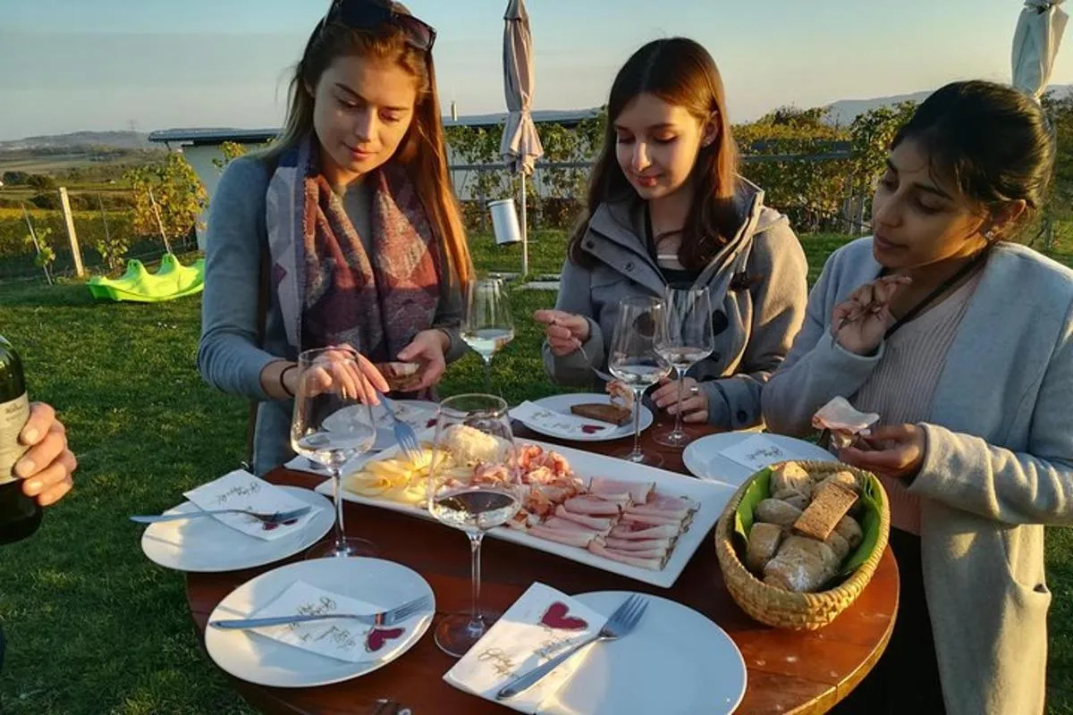 Image 4 of Countryside Half Day Wine Tour near Vienna