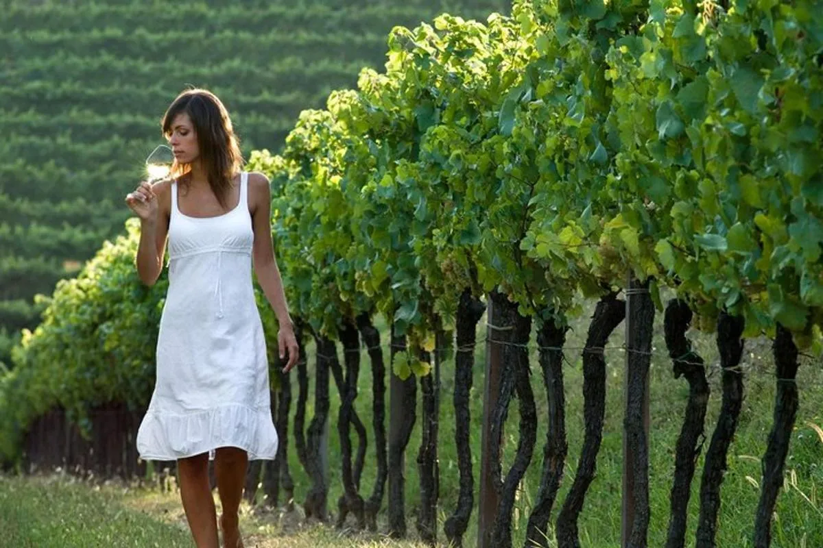 Image 6 of Countryside Half Day Wine Tour near Vienna