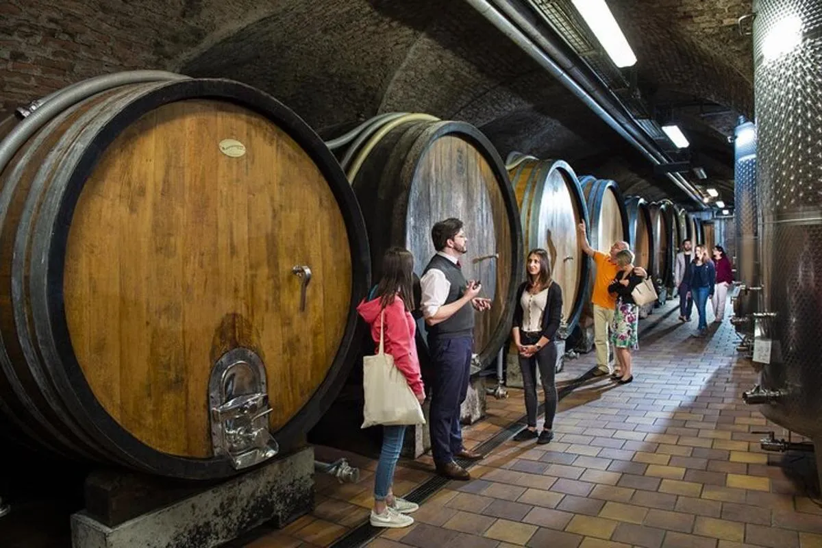 Image 6 of E-Bike Wine Culture Tour