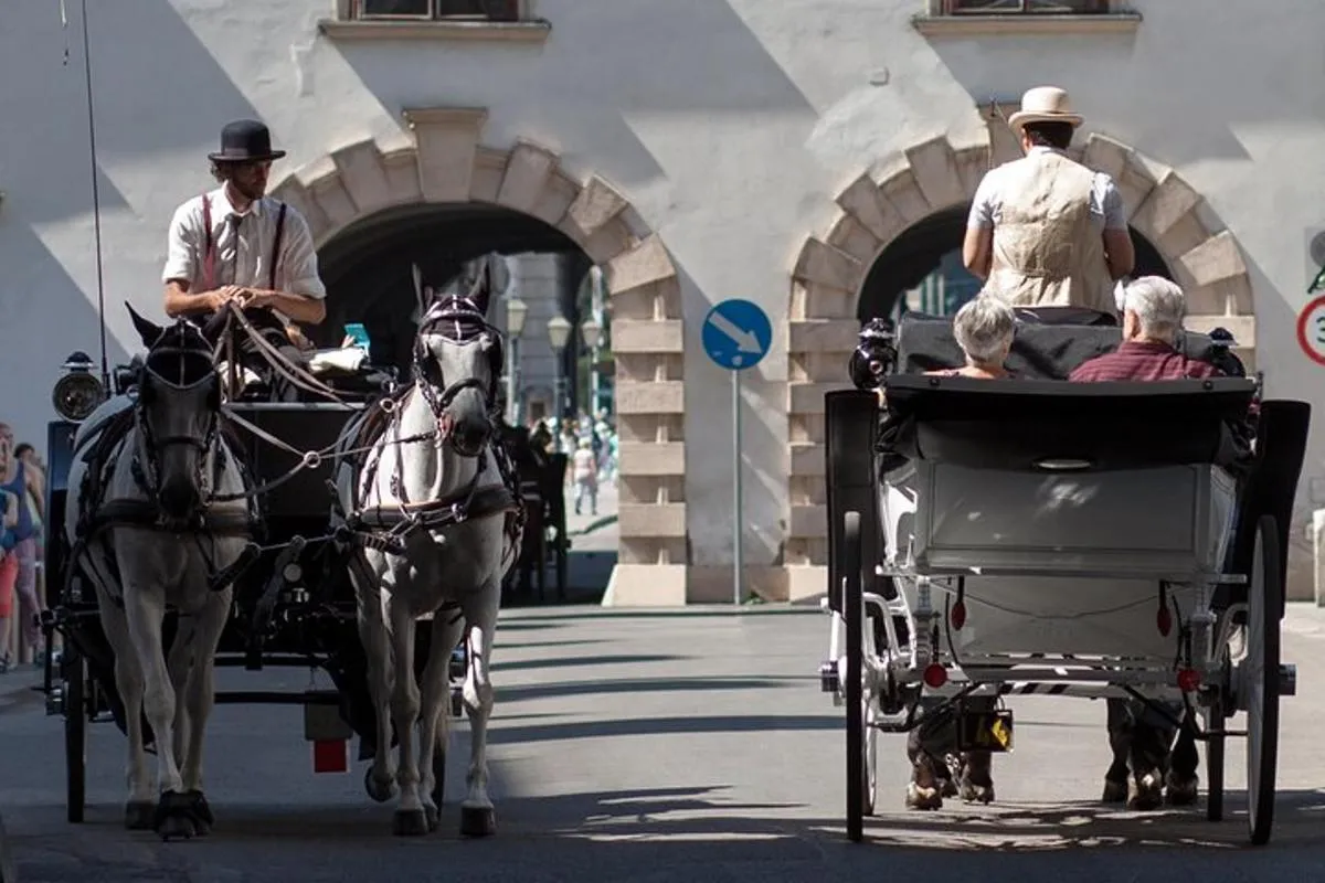 Image 3 of Exclusive Vienna Old Town Highlights Walking Tour (max. 6 persons)
