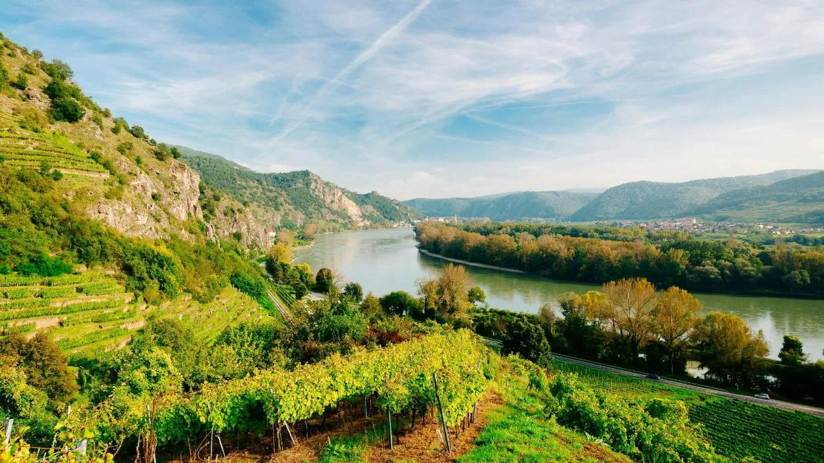 Image 1 of Full-day Wachau Valley Tour & Danube River Cruise