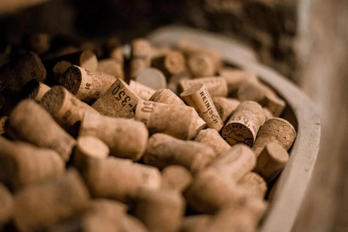 Image 5 of Hidden Wine Cellars Vienna – on the tracks of the Viennese wines