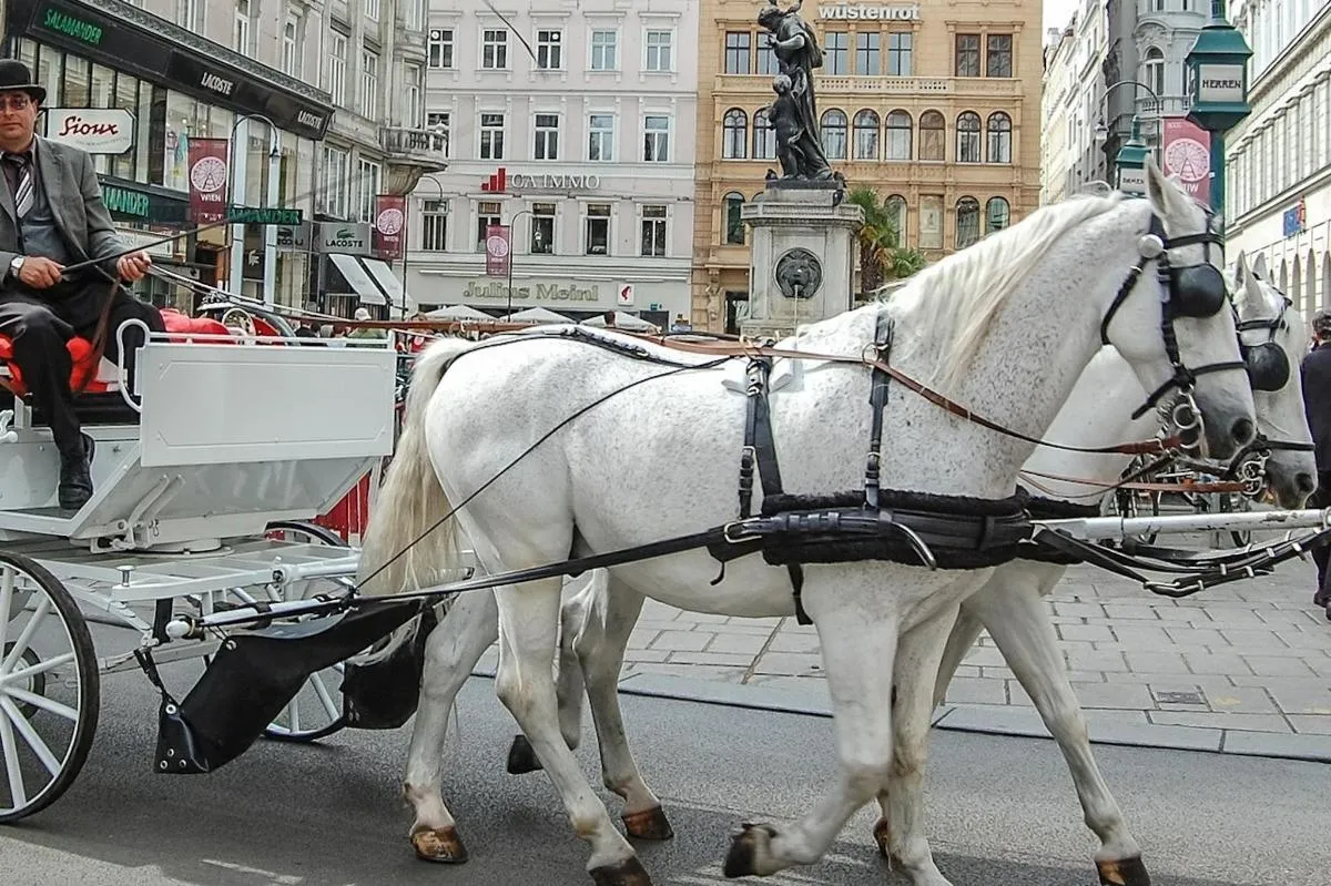 Image 2 of Hofburg and Sisi Museum Tour