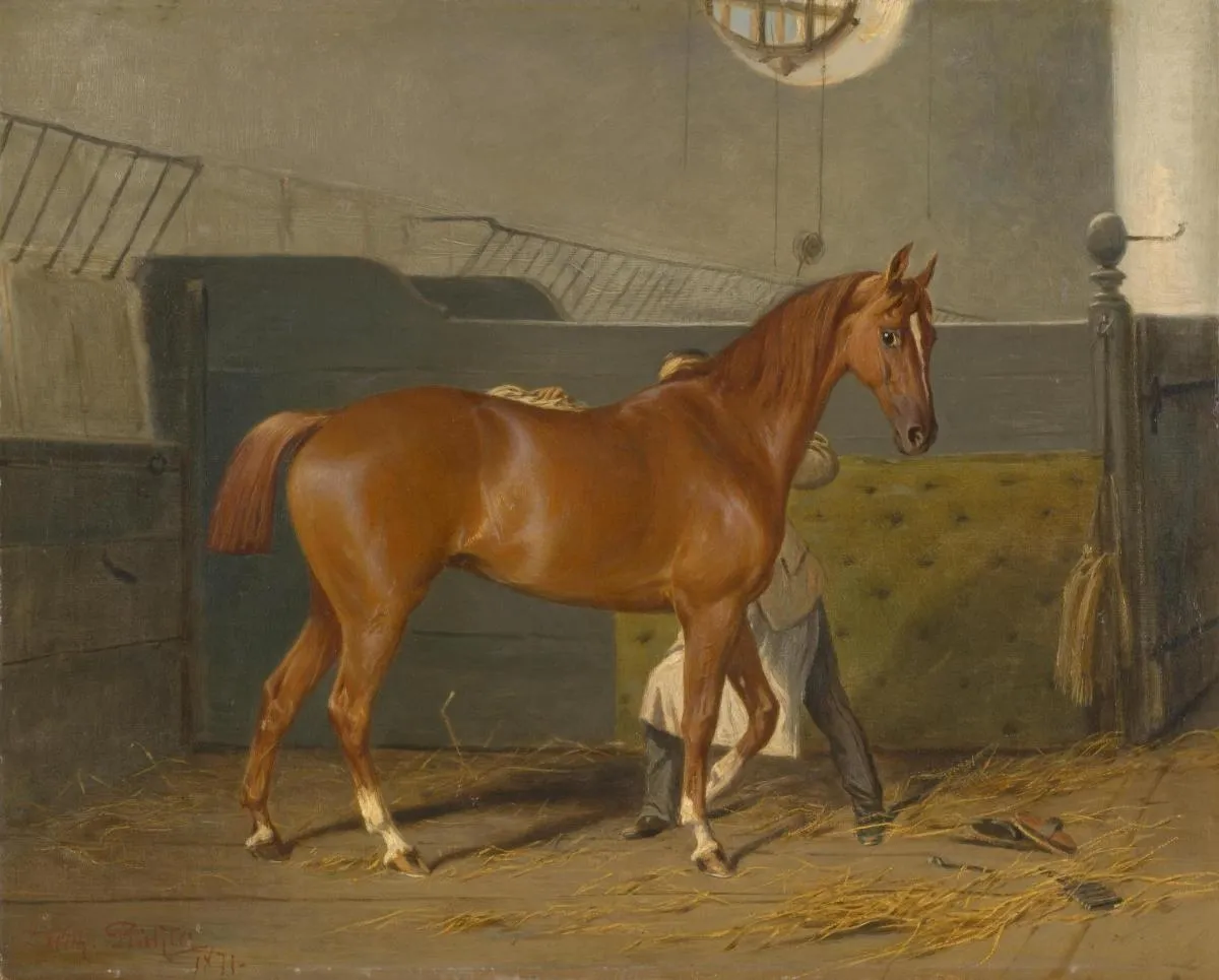 Image 6 of Imperial Carriage Museum at Schönbrunn Palace Ticket