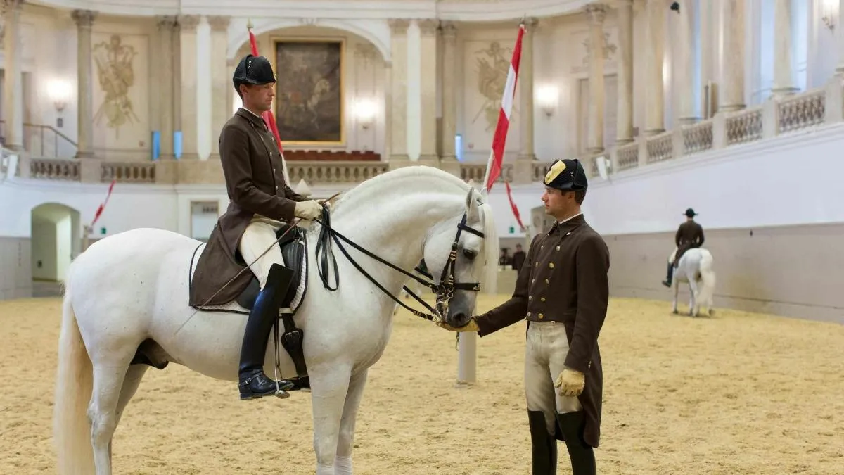 Morning Exercise at Vienna’s Spanish Riding School