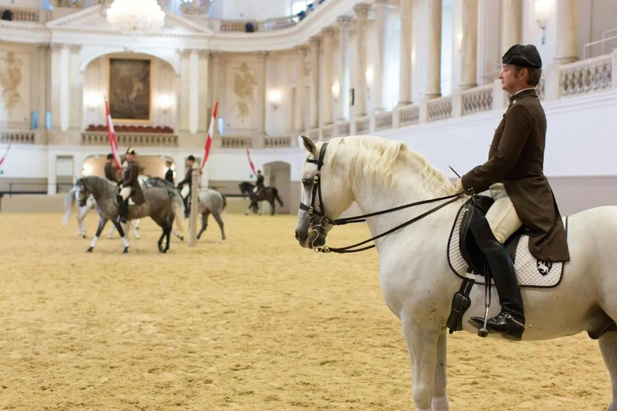 Image 1 of Morning Exercise at Vienna’s Spanish Riding School