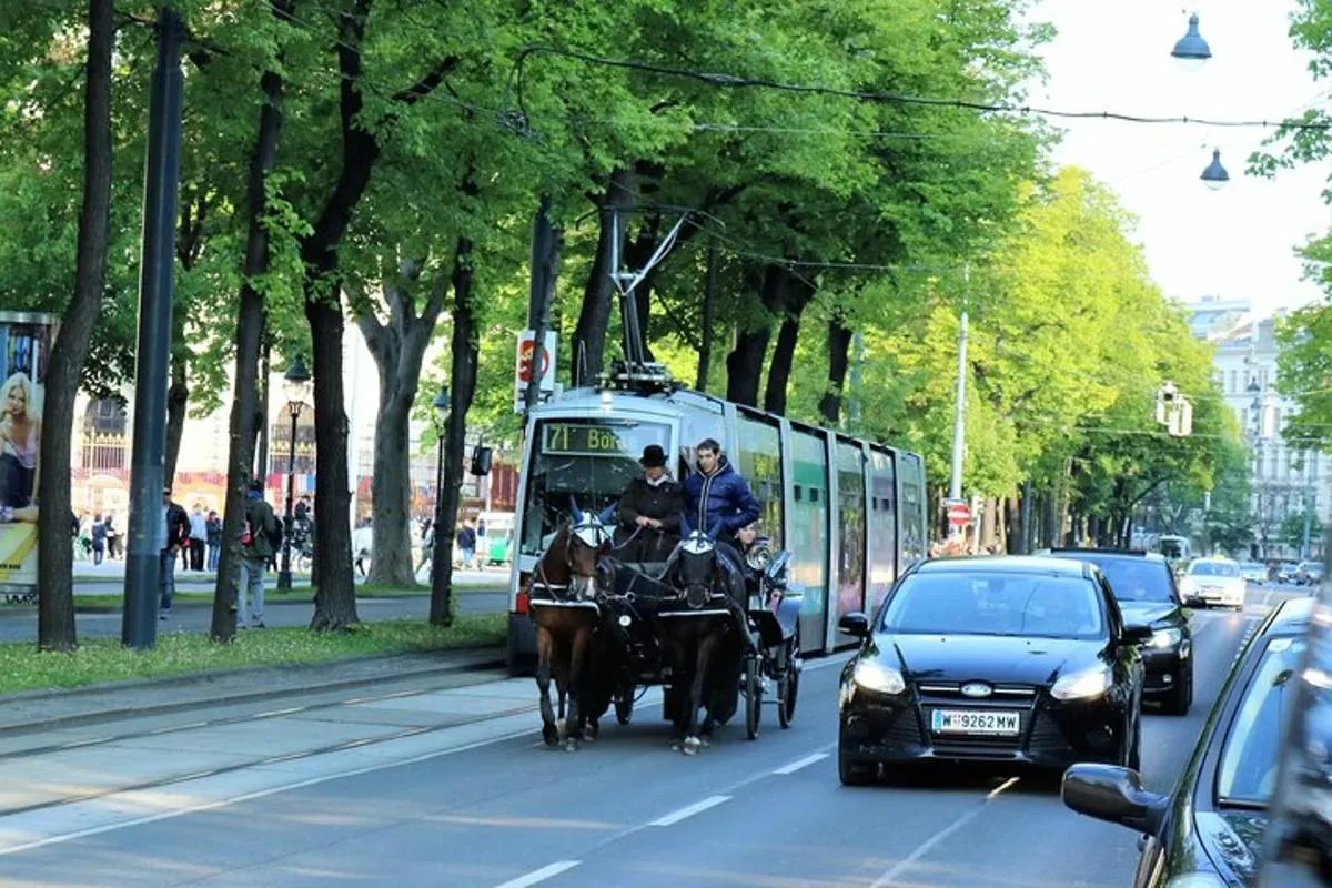 Image 2 of Private Vienna Sightseeing Tour matching to personal interests