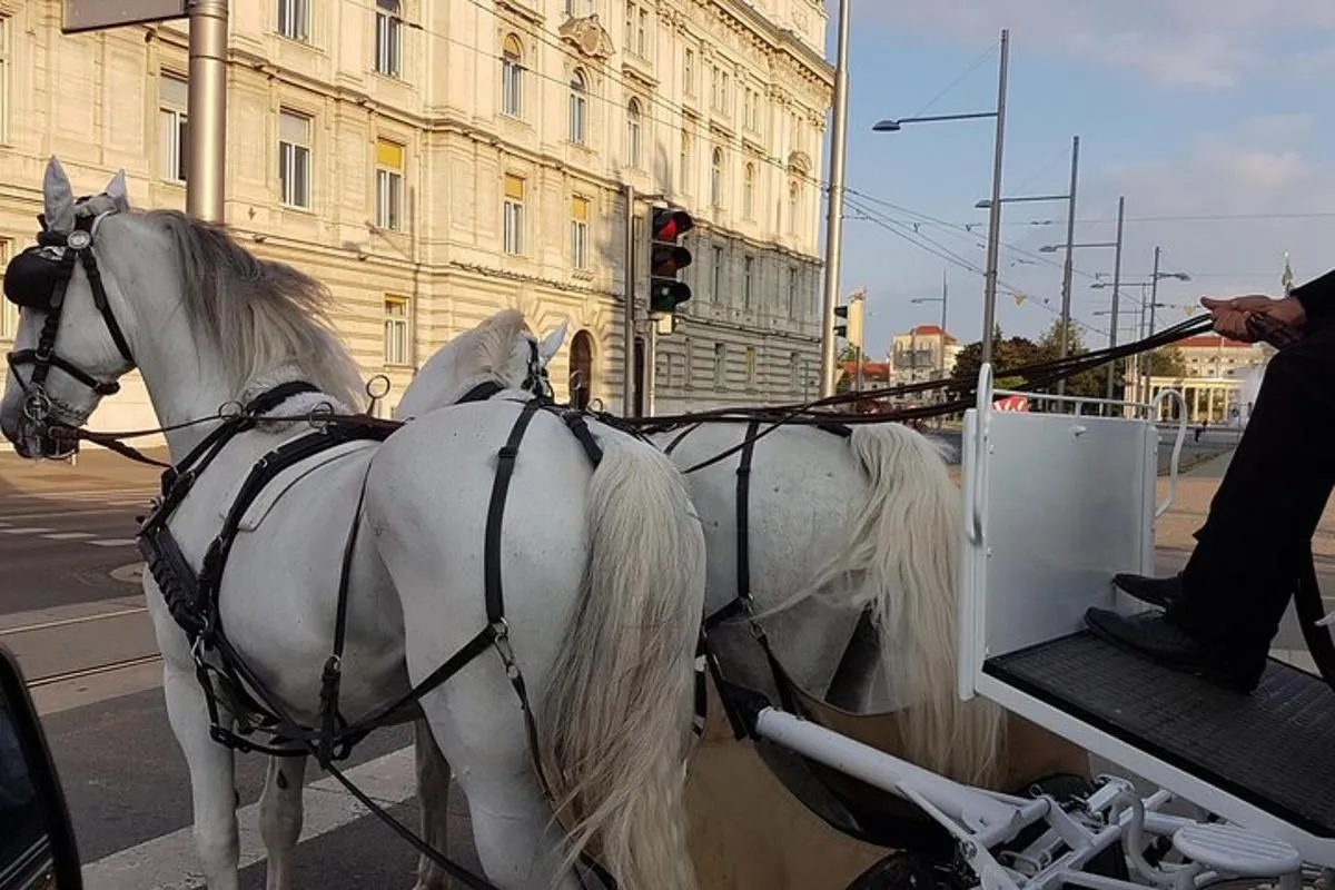 Image 4 of Private Vienna Sightseeing Tour matching to personal interests