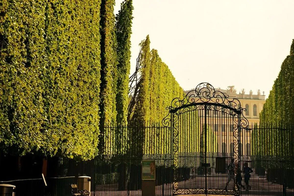 Image 5 of Schönbrunn Palace and Gardens Tour