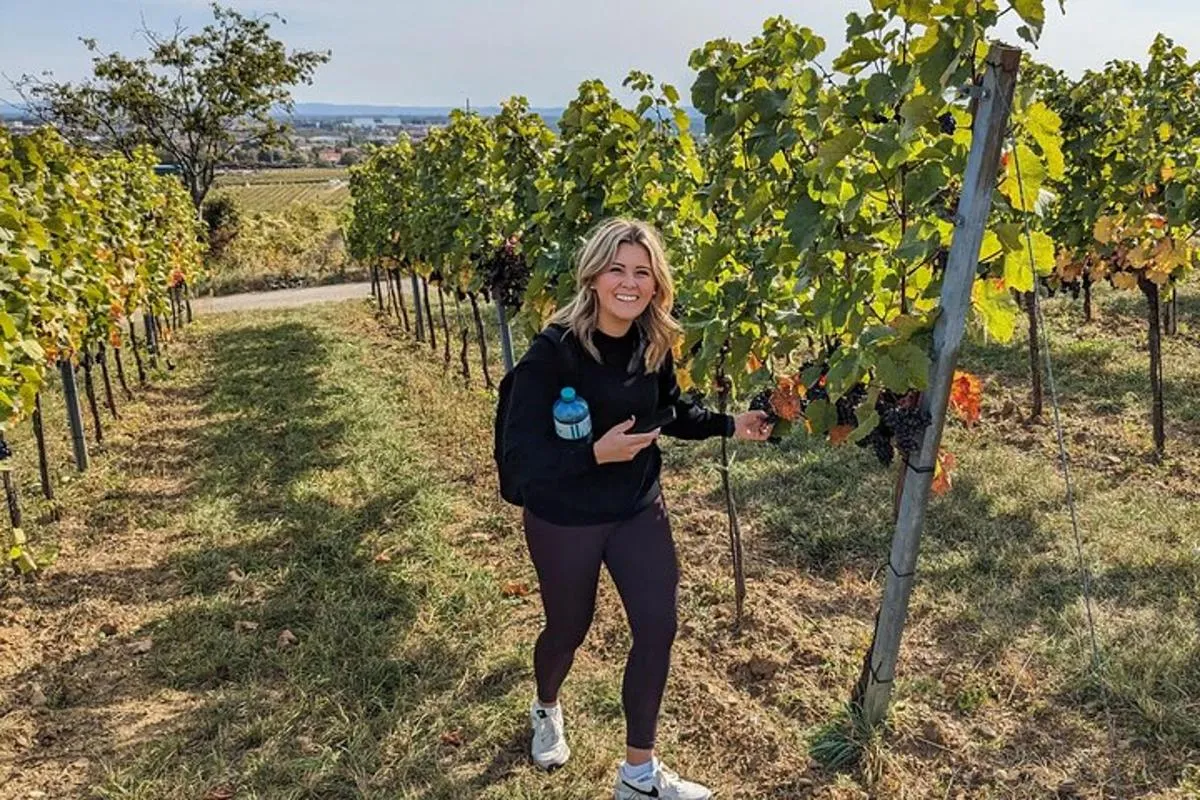 Image 4 of Small-group Vienna Wine Tour