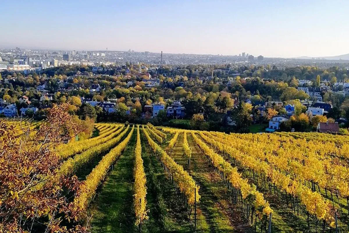 Image 6 of Small-group Vienna Wine Tour