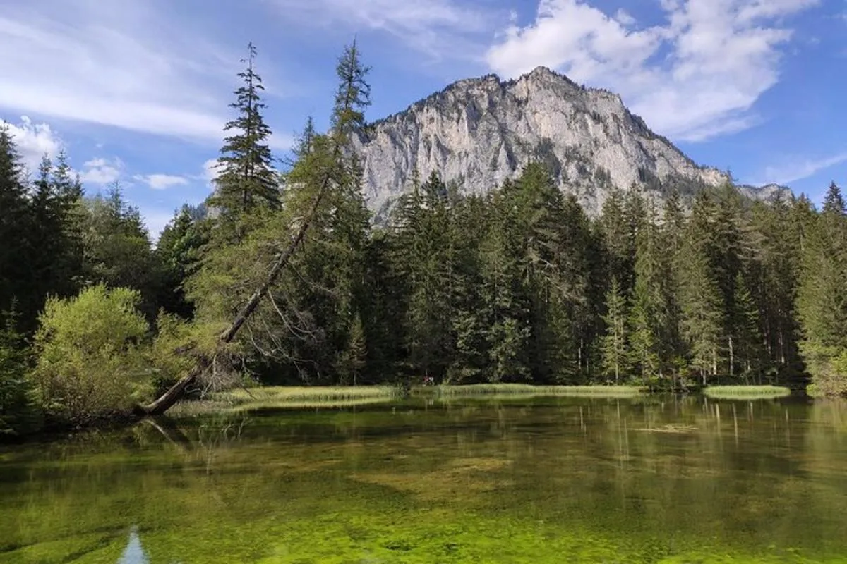 Image 2 of The Enchanting Green Lake: Private Tour in the Austrian Alps