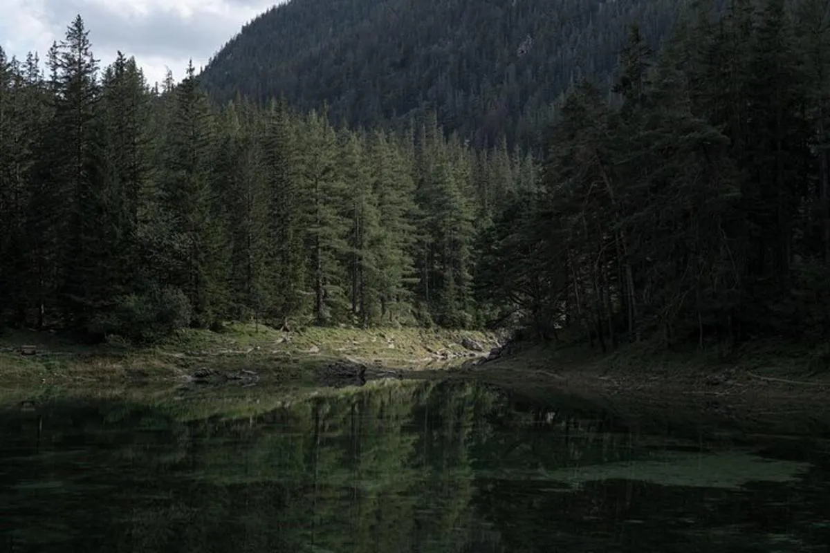 Image 3 of The Enchanting Green Lake: Private Tour in the Austrian Alps