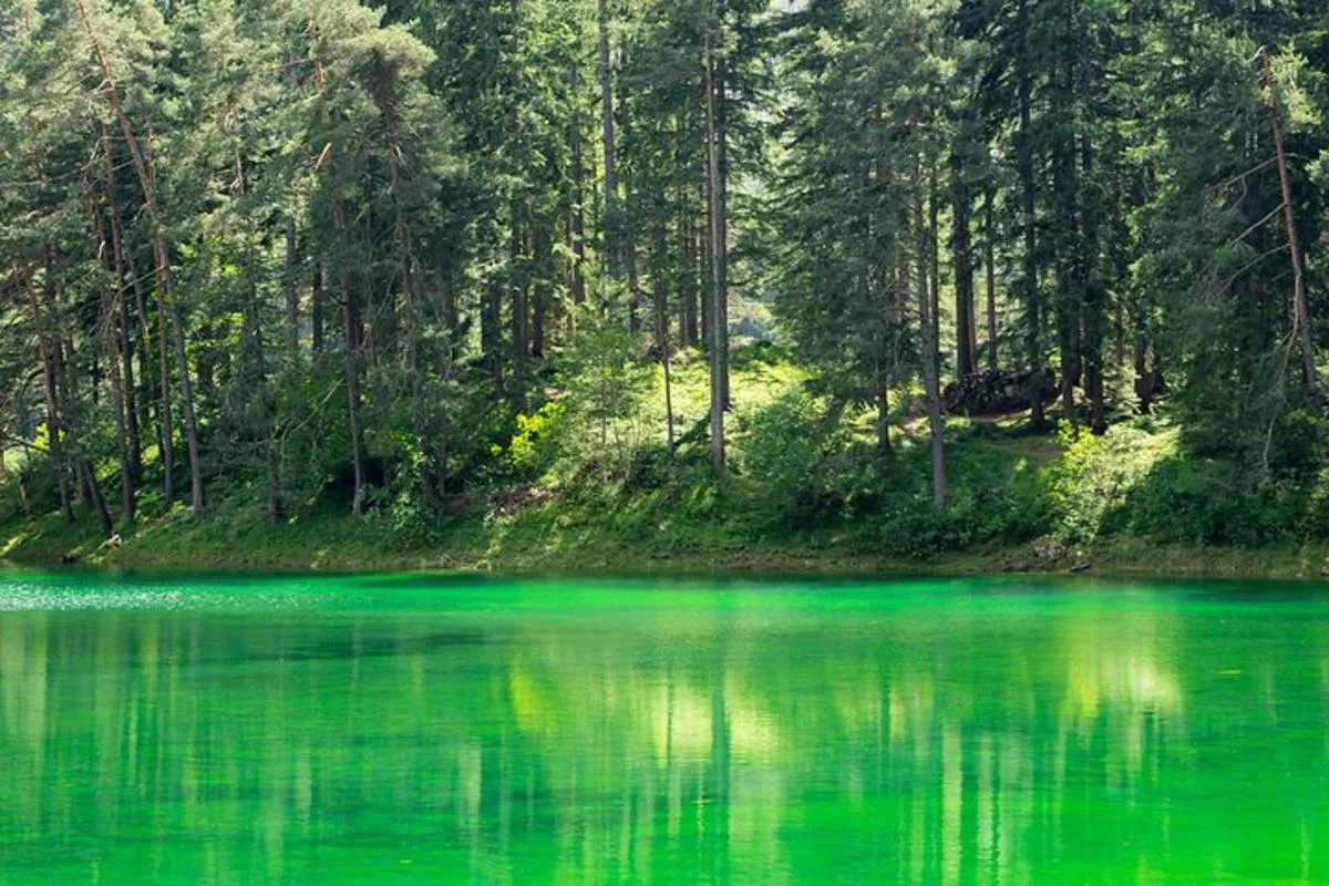Image 5 of The Enchanting Green Lake: Private Tour in the Austrian Alps