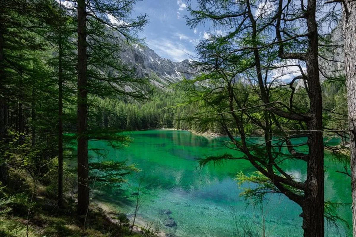 Image 6 of The Enchanting Green Lake: Private Tour in the Austrian Alps