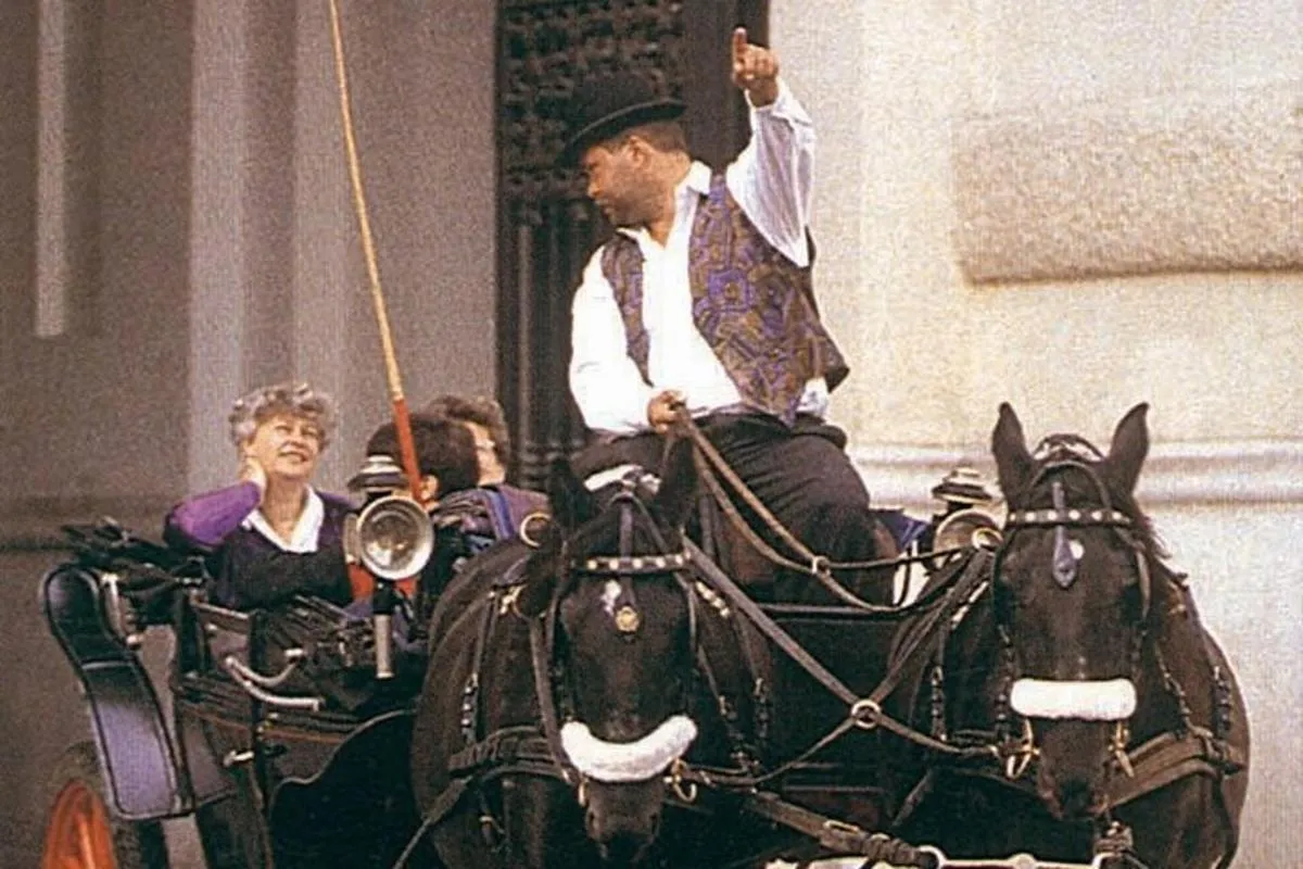 Image 3 of Vienna Mozart VIP Package: Concert, Dinner and Carriage Ride