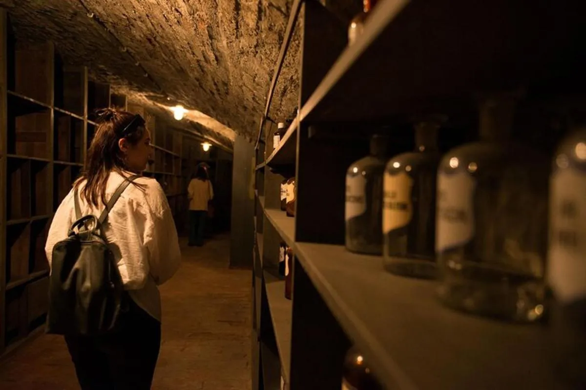Image 3 of Vienna Underground Guided Walking Tour