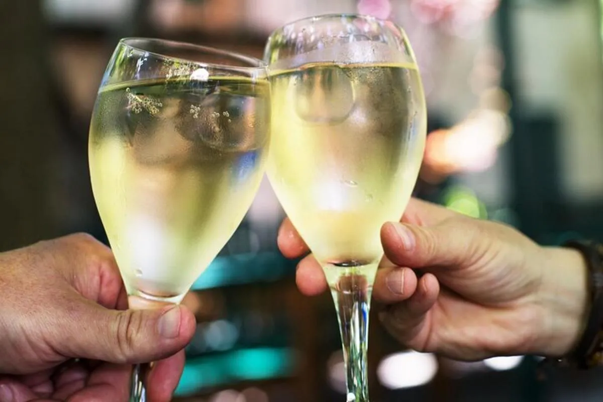 Image 3 of Vienna Vines & Tapas: A Private Wine Adventure (9 Local Wines)