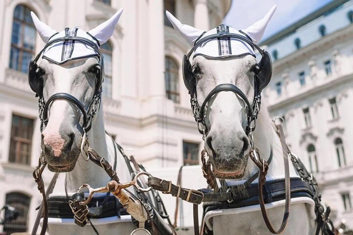 Image 6 of Vienna’s Hidden Gems: A Self-Guided Imperial Adventure