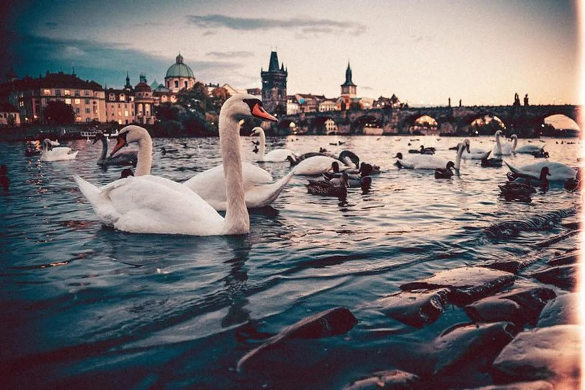 Image 5 of Vienna to Prague – Private Transfer with 2 hours of Sightseeing
