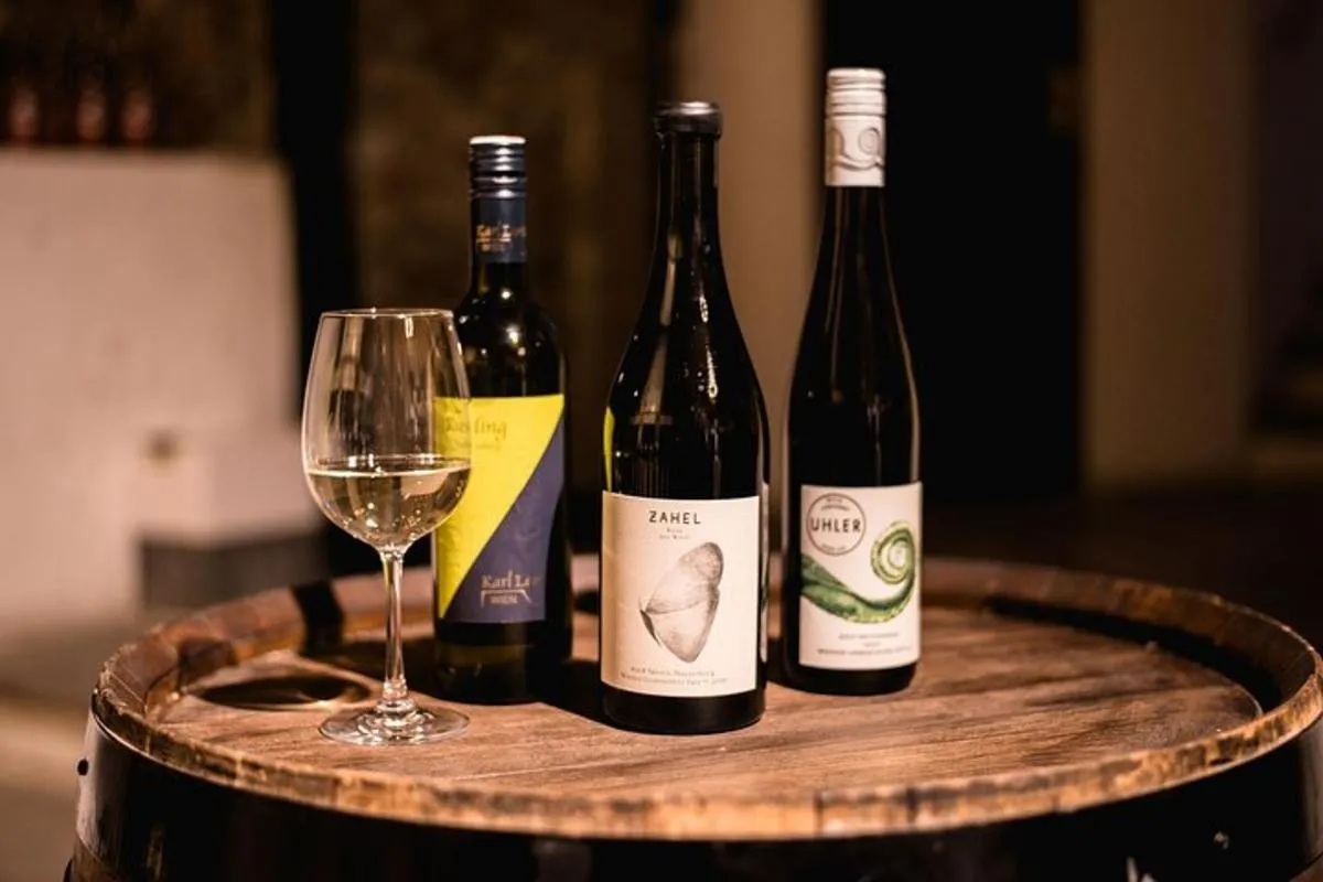 Image 0 of Viennese Wine Tasting in a Private Hidden Wine Cellar
