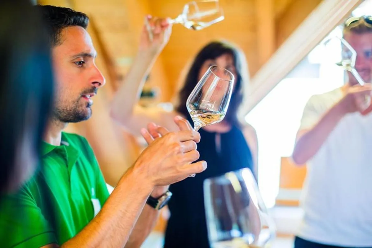 Image 3 of Wachau Valley Small-Group Tour and Wine Tasting from Vienna