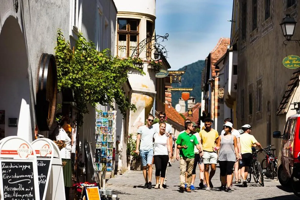 Image 4 of Wachau Valley Small-Group Tour and Wine Tasting from Vienna