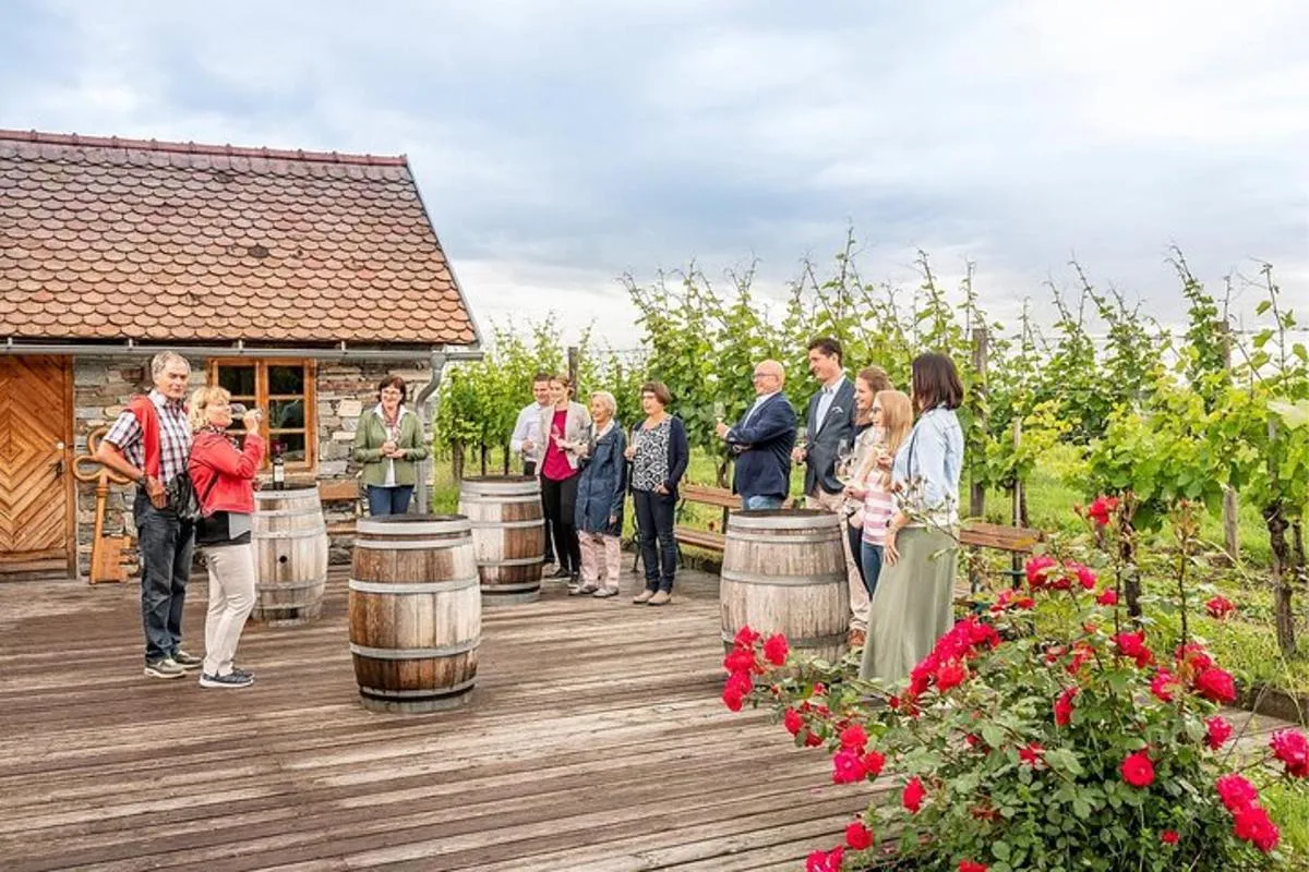 Image 6 of Wachau Valley Vines: A Culinary and Cultural Private Experience