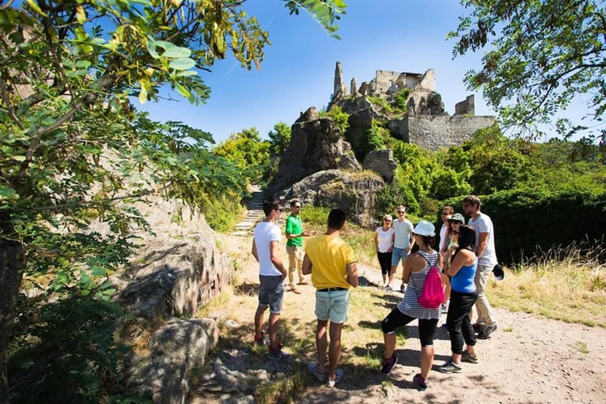 Image 3 of Wachau Valley Wine Tasting Bike Tour from Vienna