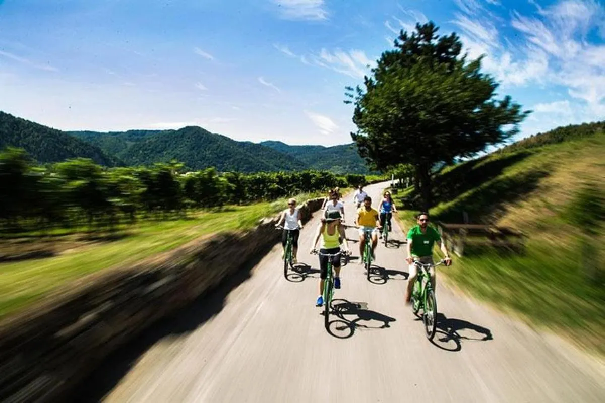 Image 5 of Wachau Valley Wine Tasting Bike Tour from Vienna