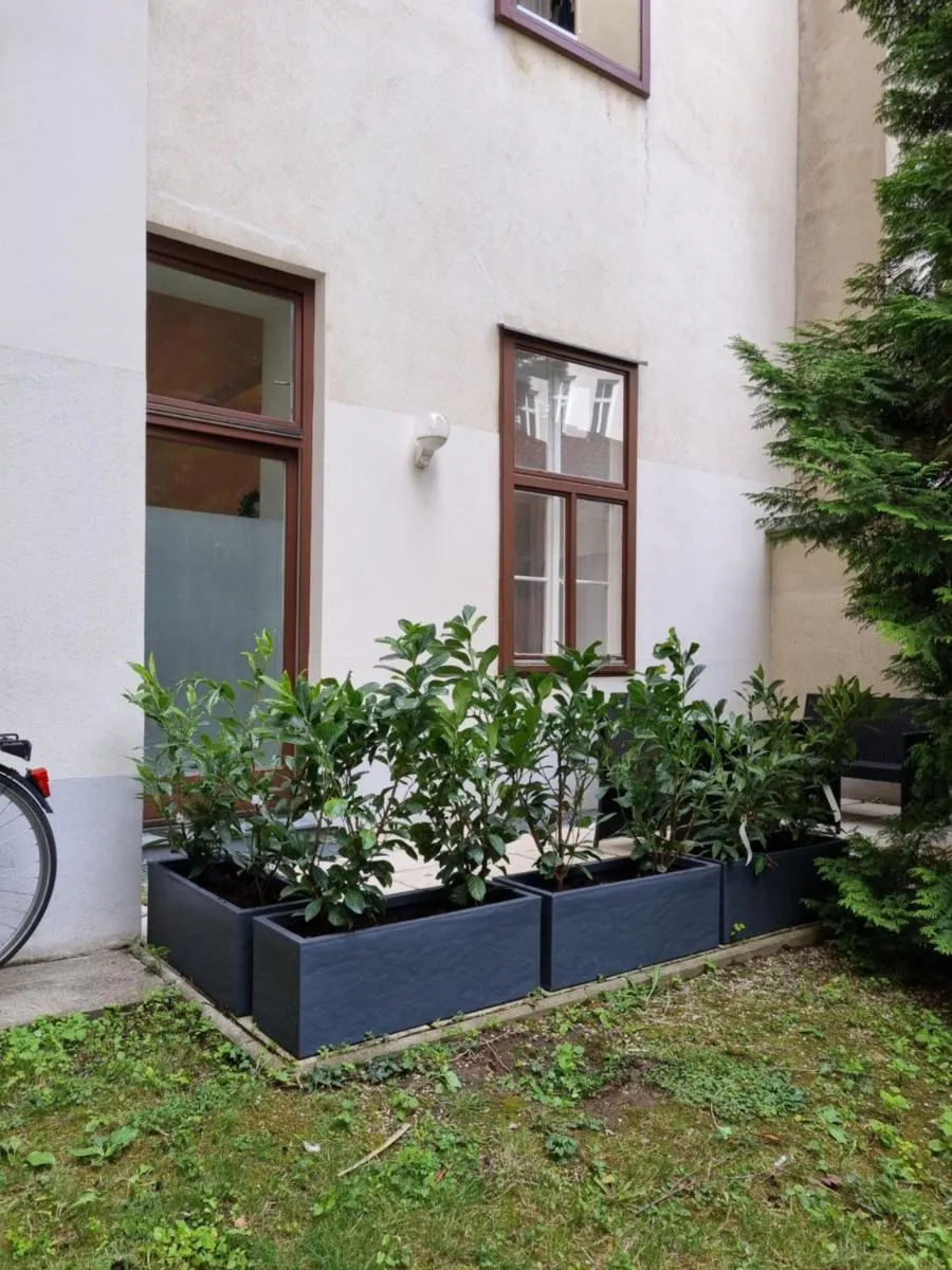 AlPa 2 Zimmer Wohnung in Wien Rochusmarkt - 3