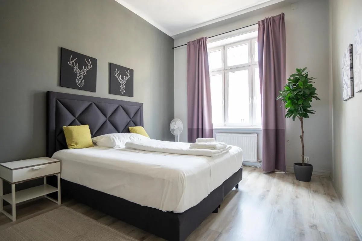 Brand new renovated appartment near Augarten - 2