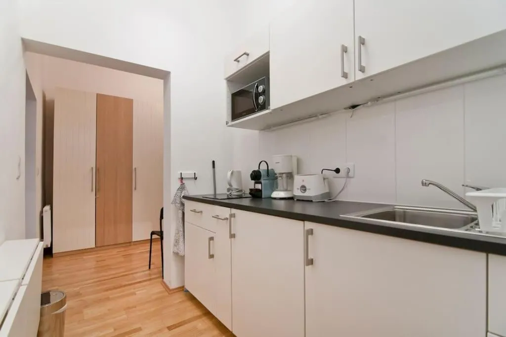 Central Apartment Vienna City Center - 3