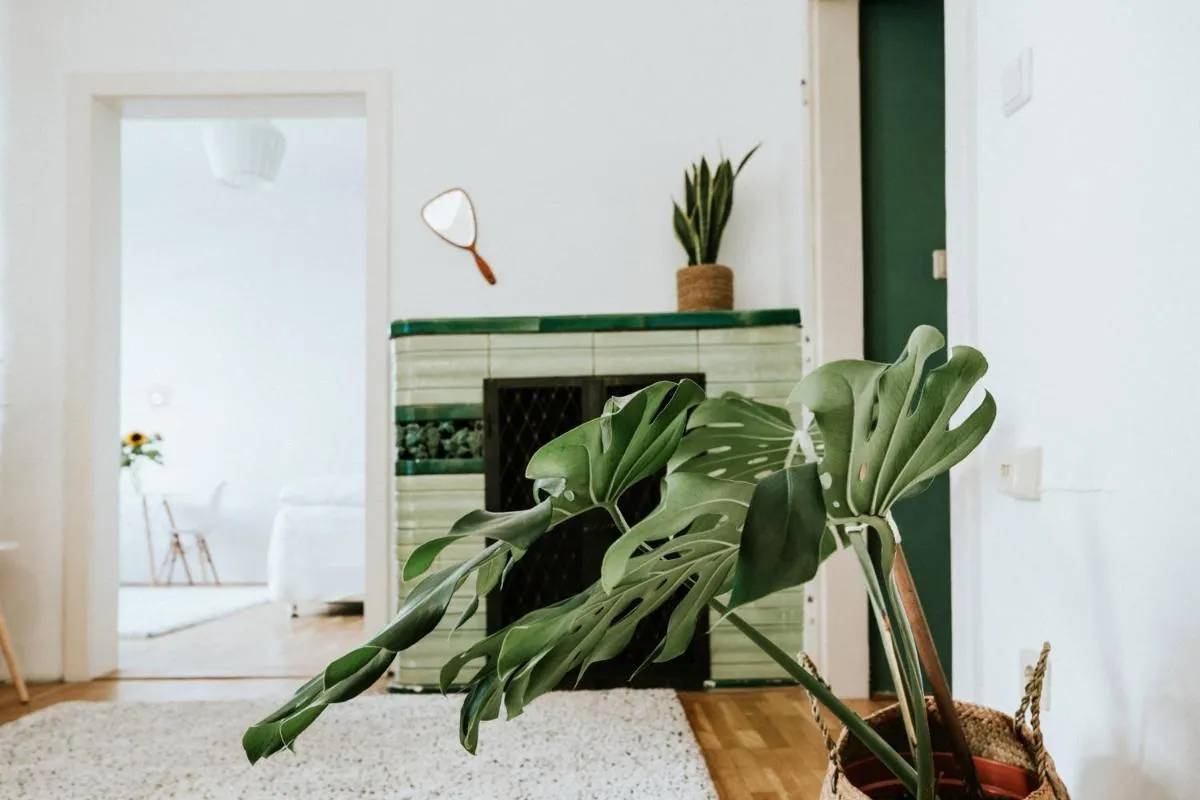 Cozy City Apartment - 2