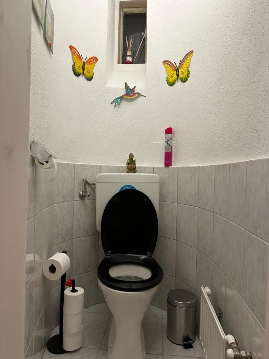 Klimatisierter Wiener Altbauflair im Zentrum Wiens - 2