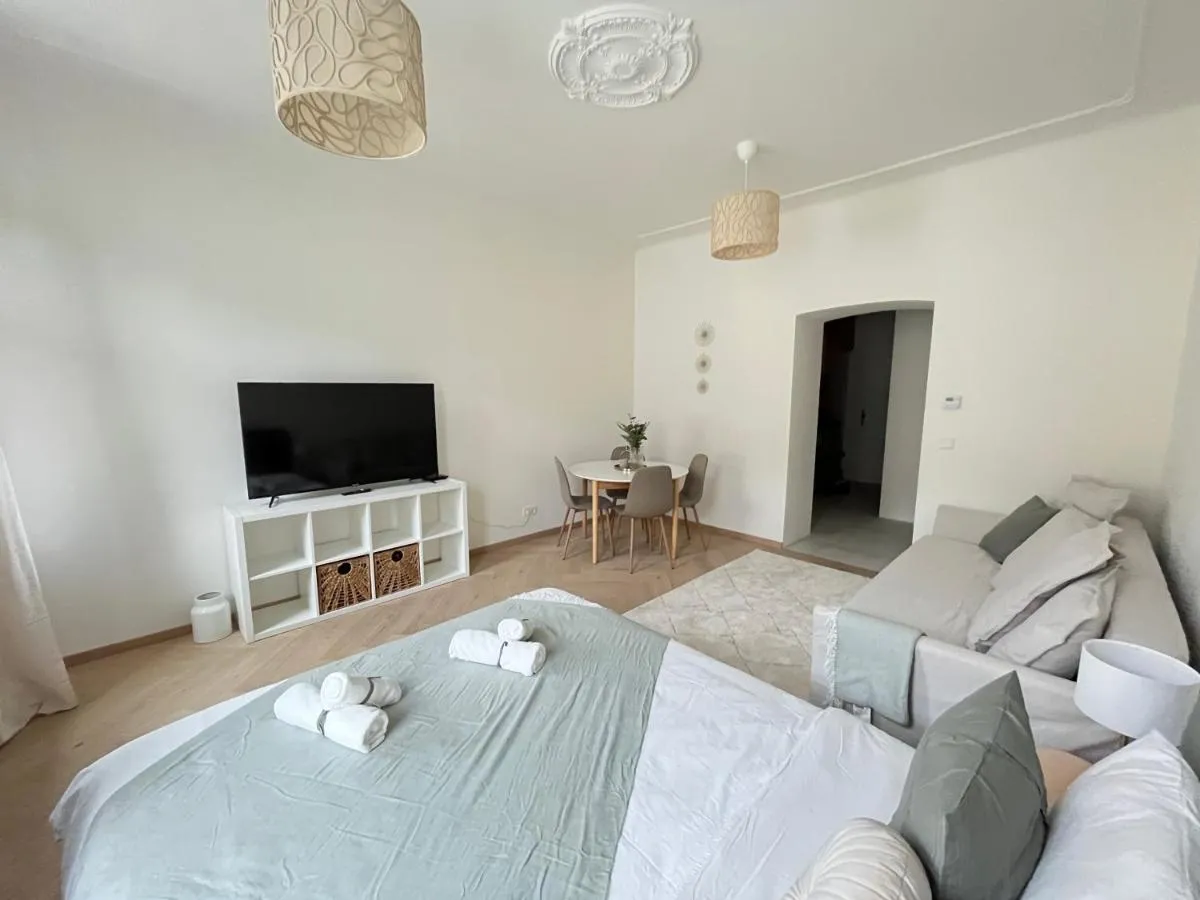 Luxurious One Room Apartment near Schönbrunn Palace - 3