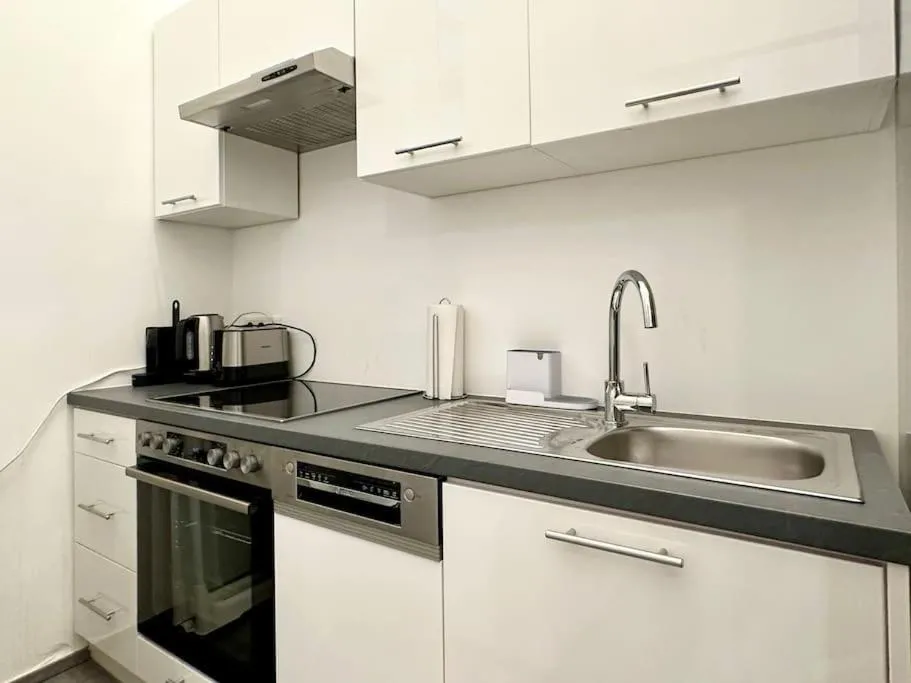 Most Central Apartment in Vienna - 3