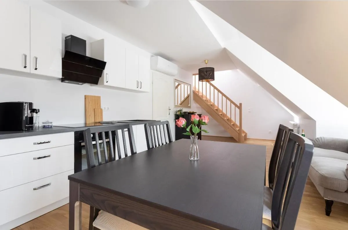 N46 · Penthouse near Schoenbrunn. Amazing Terrace! N46 - 3