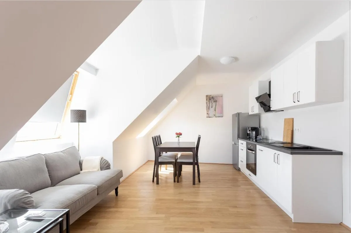 N46 · Penthouse near Schoenbrunn. Amazing Terrace! N46 - 2