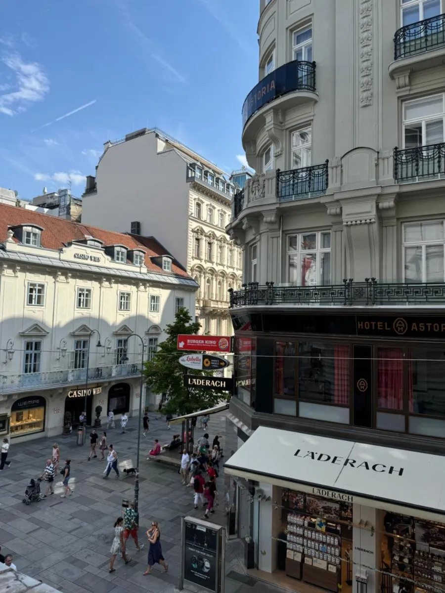 Opera Vienna Apartment - 3