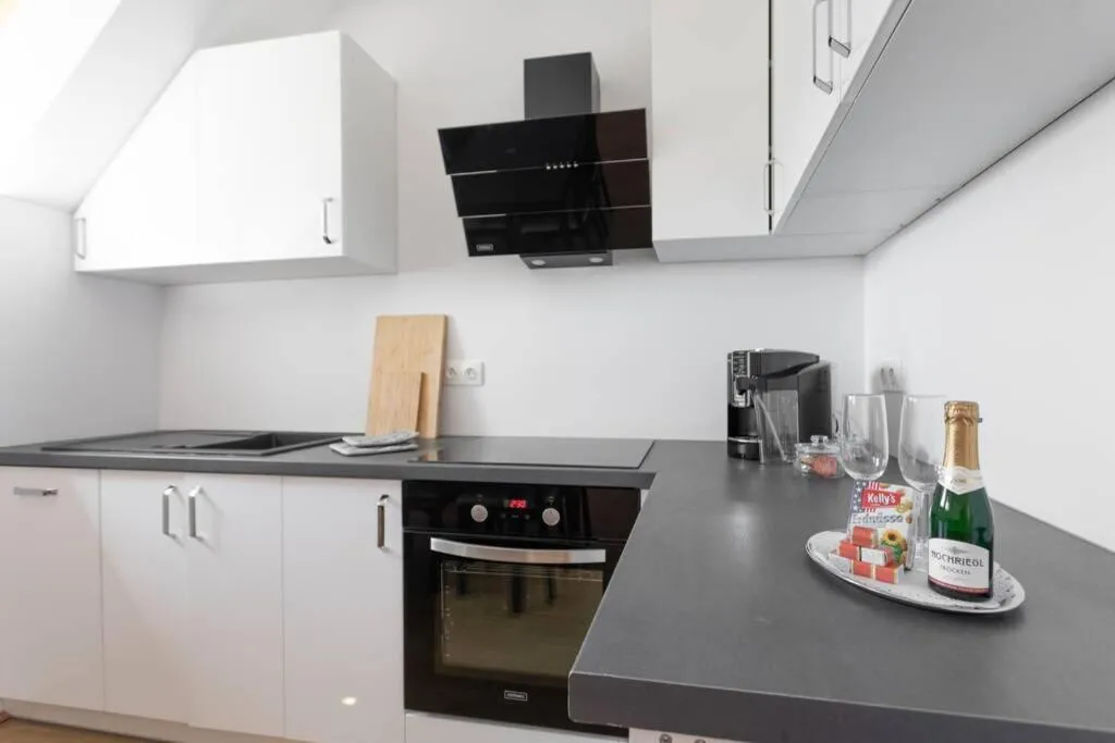 Penthouse near Schoenbrunn with large terrace! N43 - 3