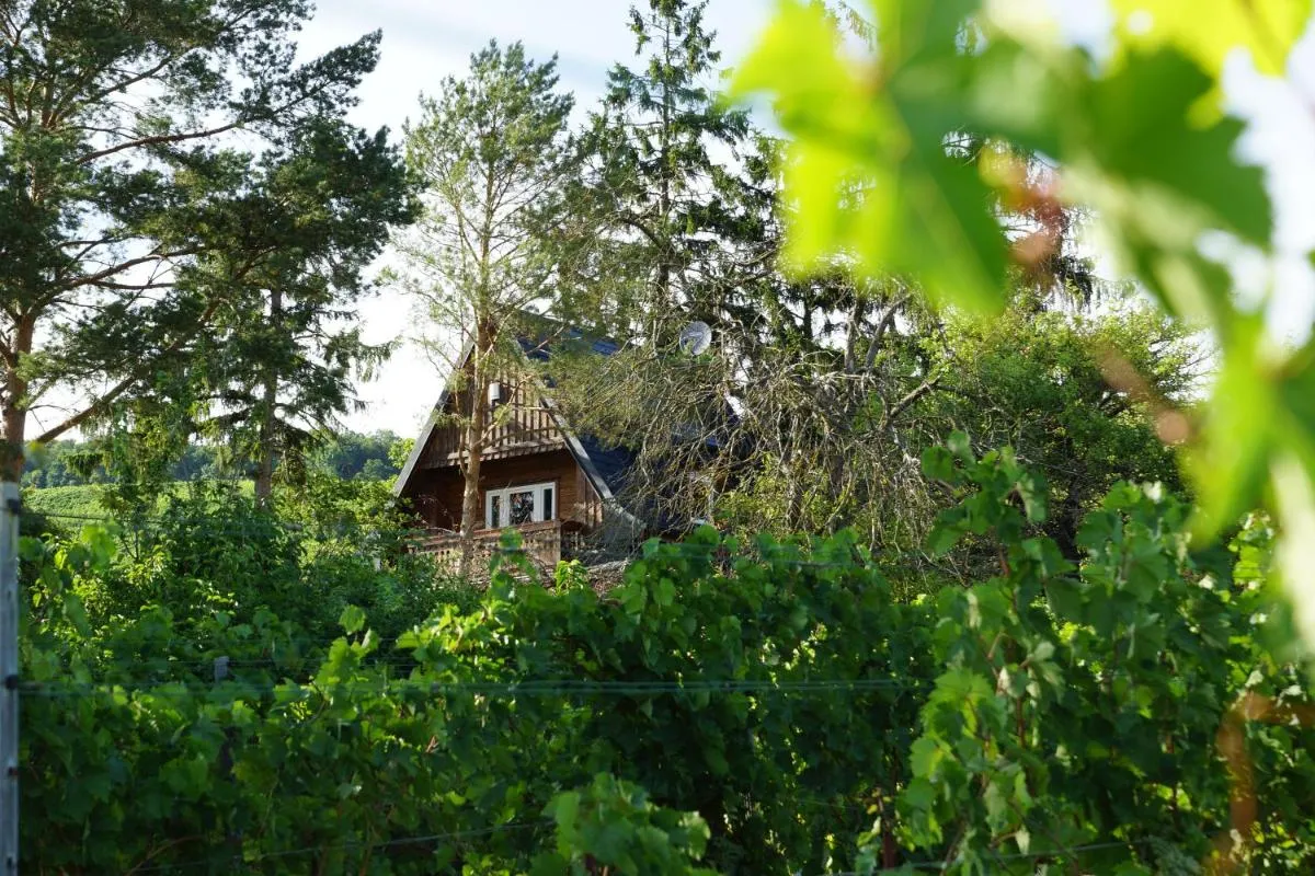 Vacationhome in the vineyards - 3