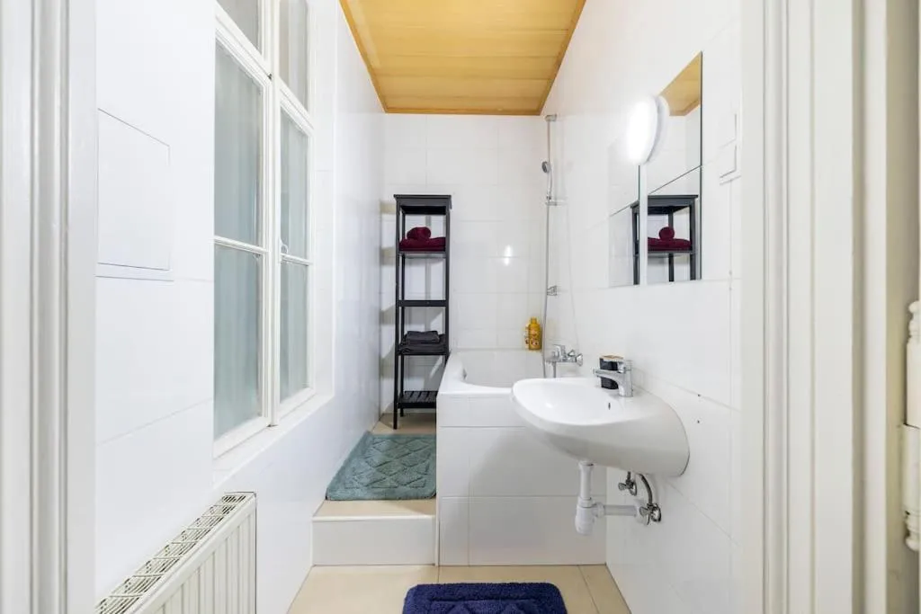 Charming spacious apartment - 3