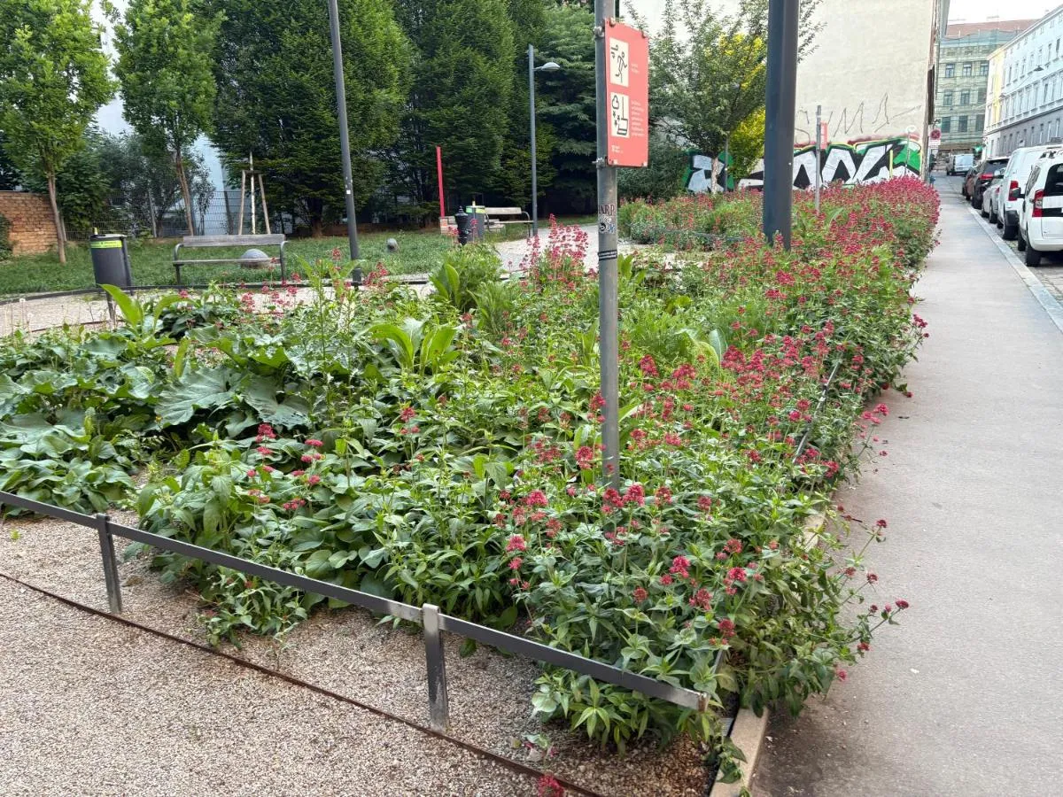 Großzügiges 85m2 City-Apartment – 2 Schlafräume, Hundefreundlich, Westbahnhof Nähe T4 - 3